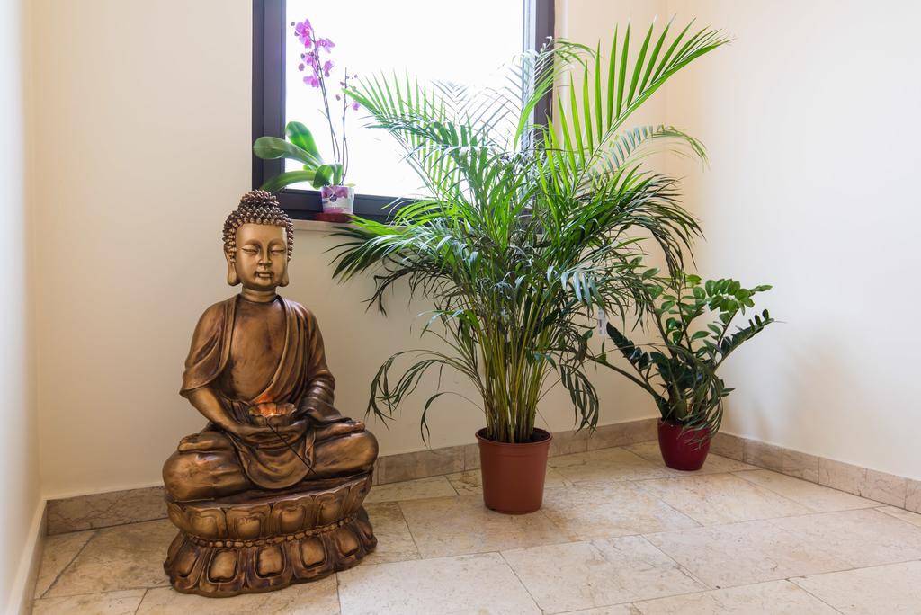 Zen House Hostel - Budapest — Foto 2